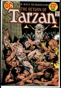 Edgar Rice Burroughs' Tarzan #222 (1973)