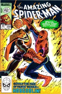 Amazing Spider-Man (1963 series)  #250, NM- (Stock photo)