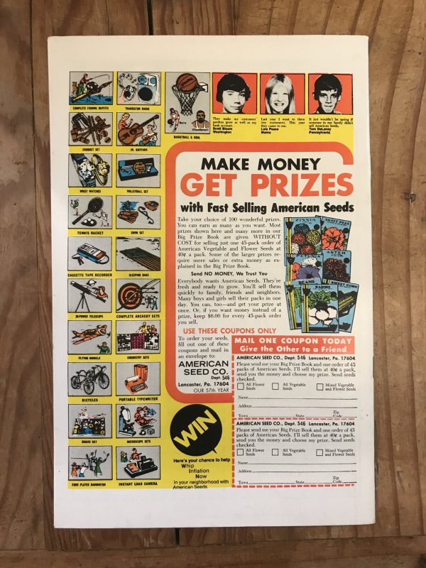 Master of Kung Fu 29