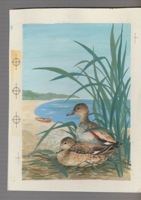 BIRTHDAY Painted Ducks on Shore w/ Boat 6.5x8.5 Greeting Card Art #B8162