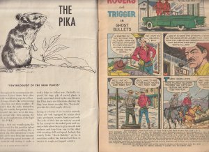 Roy Rogers(Dell) # 105