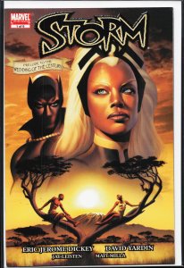 Storm #1 (2006) Storm