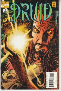 Druid #1 (1995)