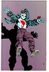 Madman Comics #1 (1994) Dark Horse Comics