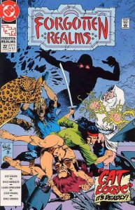 Forgotten Realms (DC) #22 FN ; DC | TSR