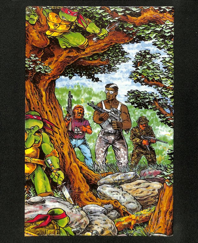 Teenage Mutant Ninja Turtles #12