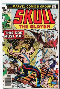 Skull the Slayer #8 (1976) Skull the Slayer