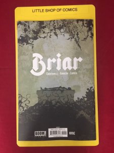 Briar #1 1:25 Andolfo Virgin Variant NM Boom Studios 2022