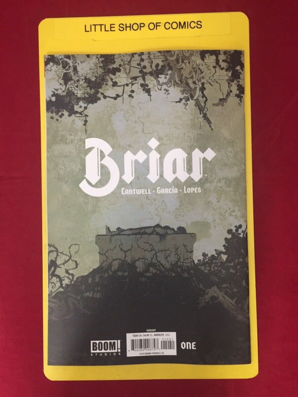 Briar #1 1:25 Andolfo Virgin Variant NM Boom Studios 2022