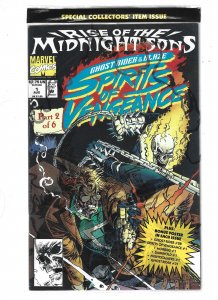 Ghost Rider/Blaze: Spirits of Vengeance #1 (1992) abc2