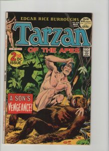 Tarzan #208 - A Son's Vengeance! - 1972 (Grade 8.0) WH 