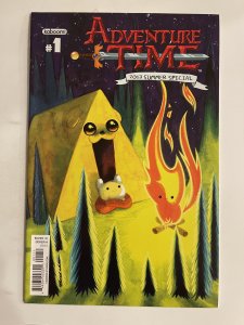 Adventure Time 2013 Summer Special #1  - NM+  (2013)