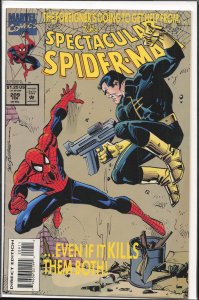 The Spectacular Spider-Man #209 (1994) Spider-Man