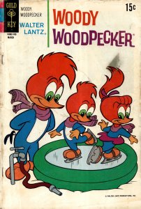 Walter Lantz Woody Woodpecker #116 (1971) Woody Woodpecker