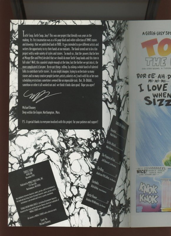 (1991) Turtle Soup #1: COPPER AGE! MICHAEL DOONEY COVER ART! (9.0/9.2)