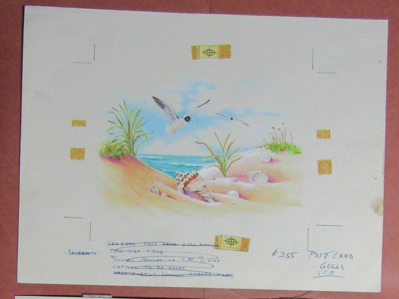 POST CARD Seashells on Beach with Seagulls 10x7.5 Greeting Card Art #255B