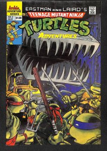 Teenage Mutant Ninja Turtles Adventures #2 (1989)