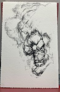 Stone #1 museum edition 70/300