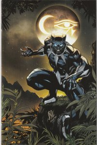 Ultimate Black Panther # 1 Variant 1:25 3rd Print Cover NM Marvel 2024 [OW]
