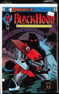 The Black Hood #1 (1991)