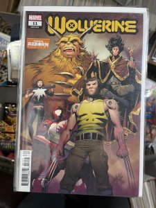 Wolverine #11 Pacheco Cover