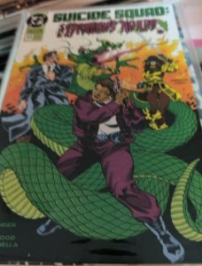 Lot of 25 Comics (See Description) Superman, Suicide Squad, Tailgunner Jo, Te...