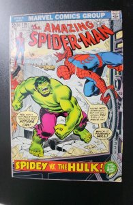 The Amazing Spider-Man #119 (1973) VF-