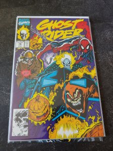 Ghost Rider #16 Direct Edition (1991)