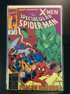 The Spectacular Spider-Man #199 Direct Edition (1993)
