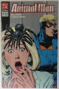 Animal Man #37 VFNM Veitch Dillon DC Comics July Jul 1991