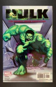 Hulk: The Movie Adaptation (2003)