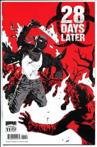 28 DAYS LATER 11, NM, Zombie, Horror, Walking  Dead, 1st, 2009, more in store, A