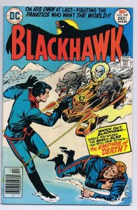 Blackhawk #249 ORIGINAL Vintage 1976 DC Comics