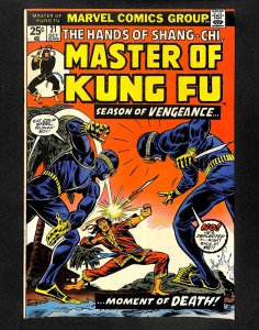Master of Kung Fu #21