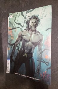 Aquaman #47 Variant Cover (2019)