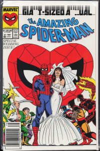 The Amazing Spider-Man Annual #21 (1987) Spider-Man