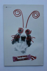 Pinky and the Brain #9 (1997) Pinky and the Brain NM