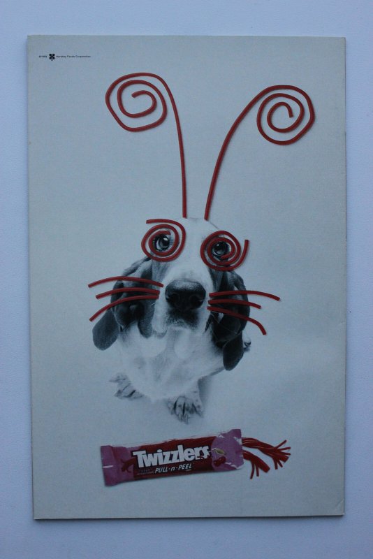 Pinky and the Brain #9 (1997) Pinky and the Brain NM