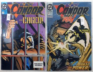 Black Condor Lot of 2 #8, 10 (1993) DC The Black Condor 1st Print Comic Books