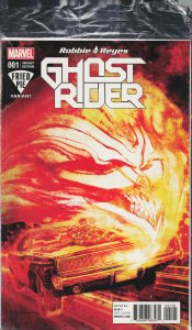 Ghost Rider #1 Fried Pie Cover (2017) Ghost Rider