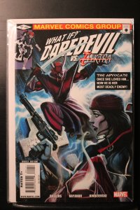 What If? Daredevil vs. Elektra (2010)