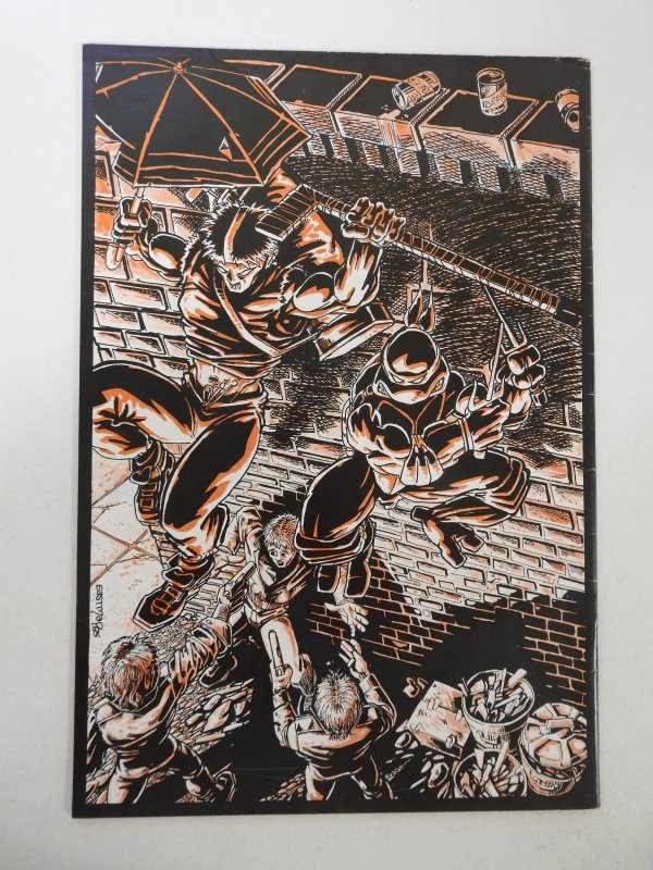 Raphael Teenage Mutant Ninja Turtle (1984) FN/VF Condition!