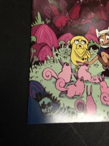 Adventure Time 18 Cover B Virgin Variant NM