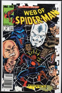 Web of Spider-Man #55 (1989) Spider-Man