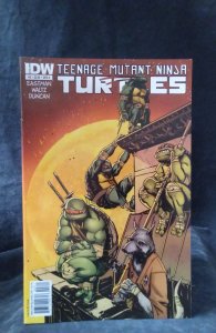 Teenage Mutant Ninja Turtles #3 (2011)