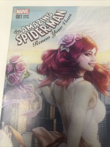 AMAZING SPIDER-MAN (2017) Variant # 1 Stan Lee • Steve Ditko • Marvel Comics