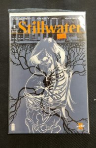 Stillwater #1 Second Print Cover (2020)