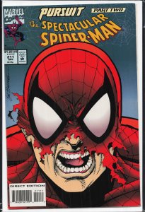The Spectacular Spider-Man #211 (1994) Spider-Man