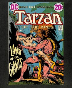 Tarzan (1972) #211