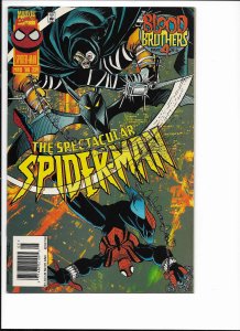 The Spectacular Spider-Man #234 Newsstand Edition (1996)